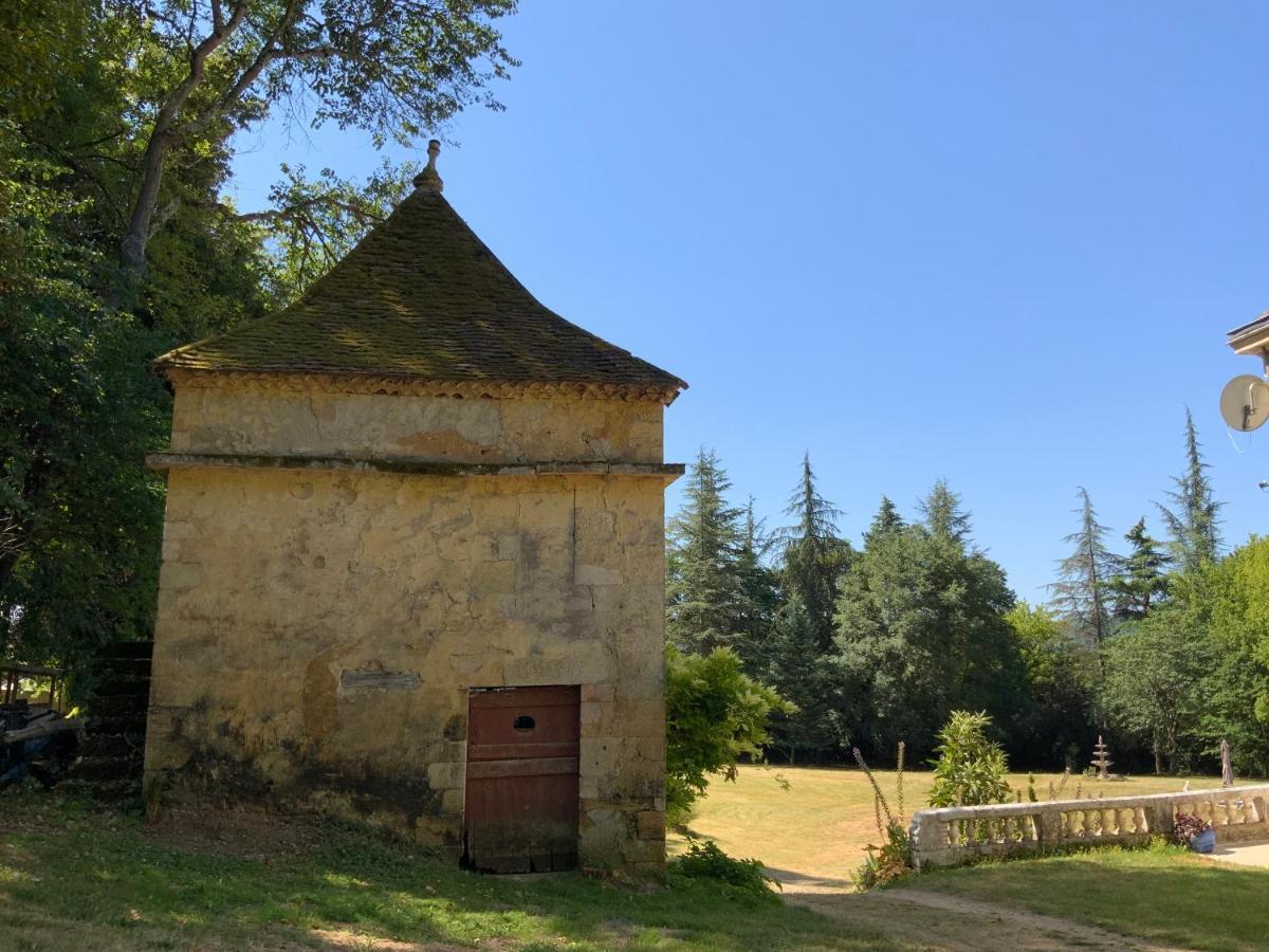 Chateau D'Argentonesse Castels Esterno foto