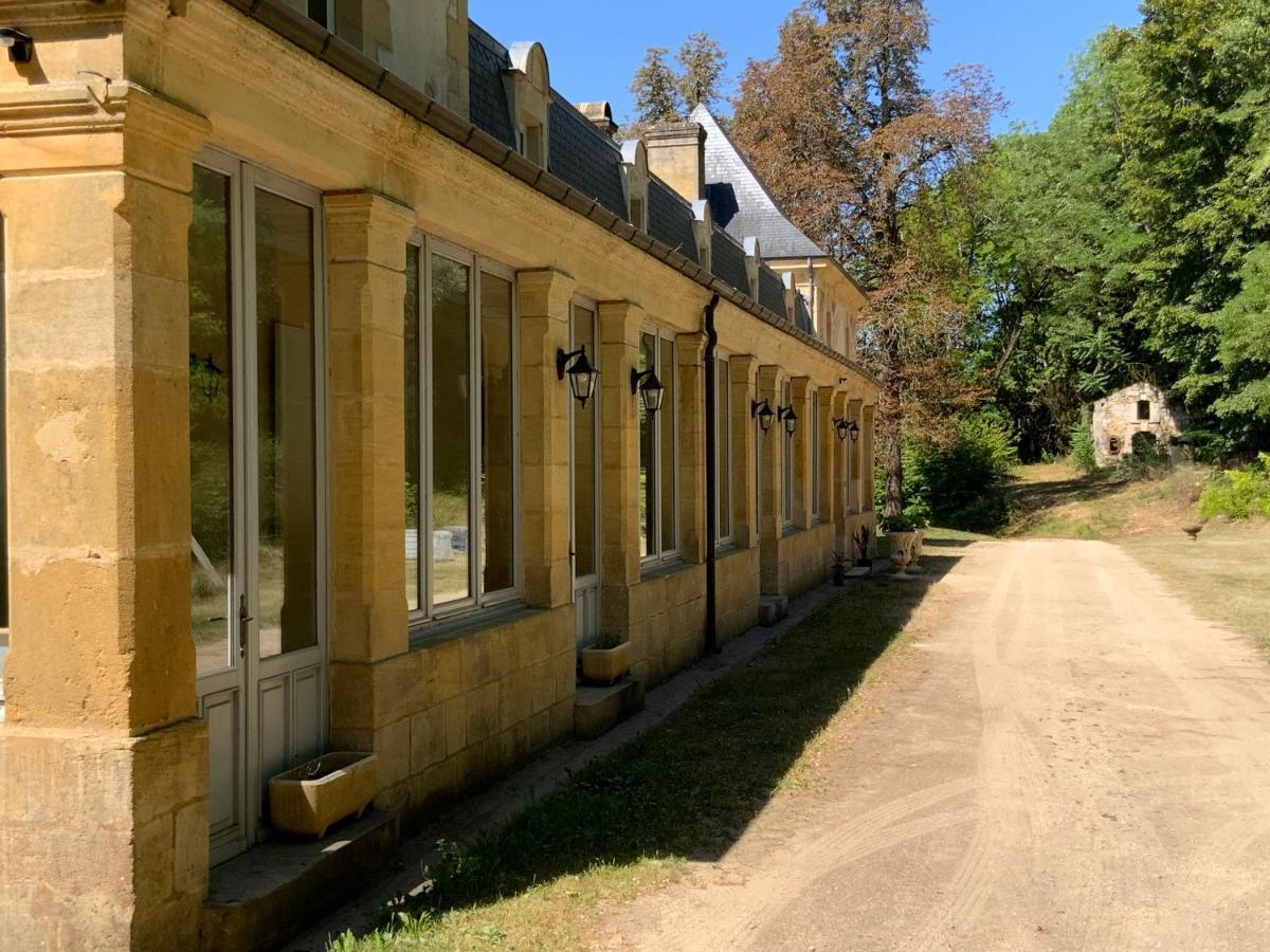 Chateau D'Argentonesse Castels Esterno foto