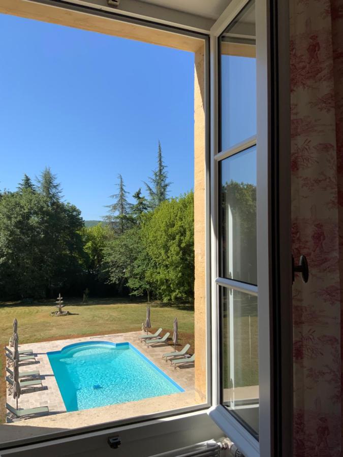 Chateau D'Argentonesse Castels Esterno foto